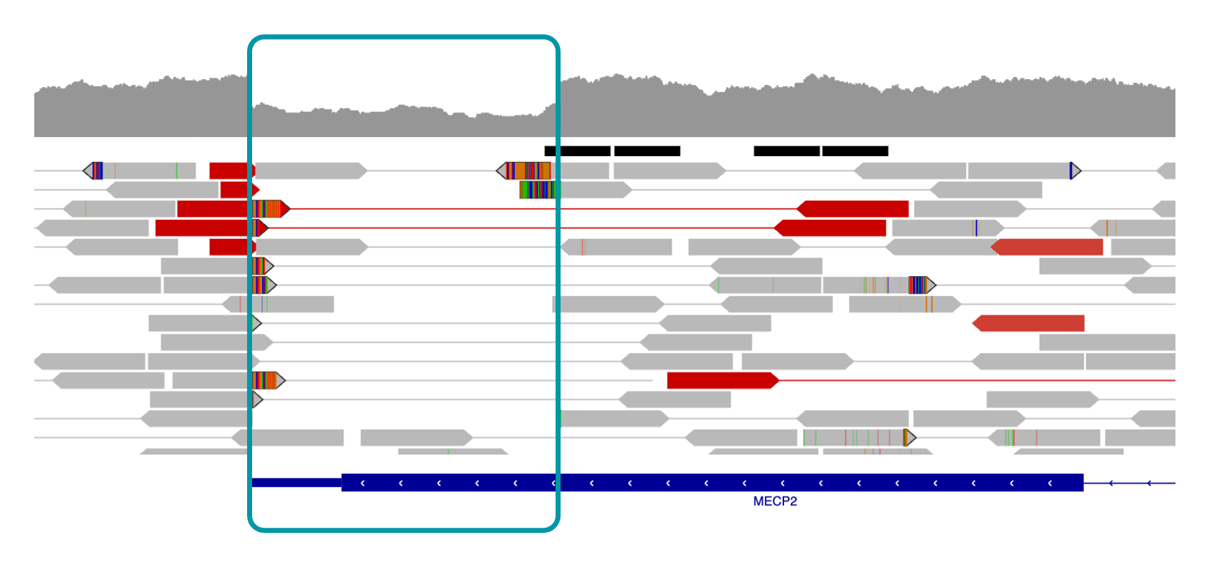 IGV view of MECP2 deletion