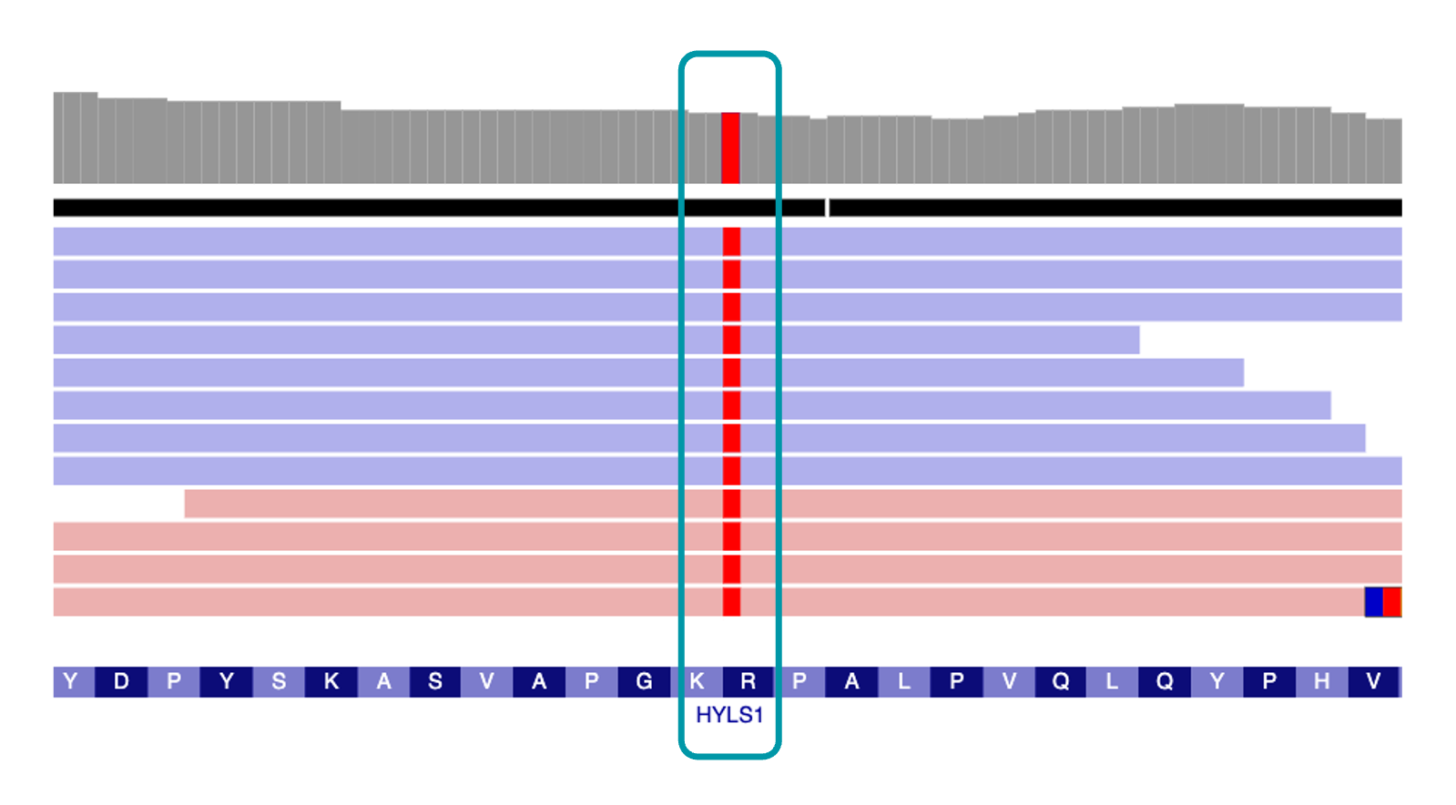 IGV view of HYLS1 SNV
