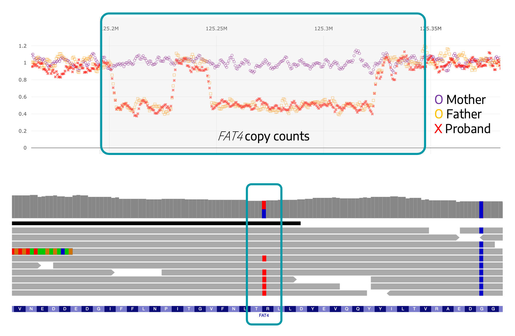 IGV and SV plots view of FAT4 variants