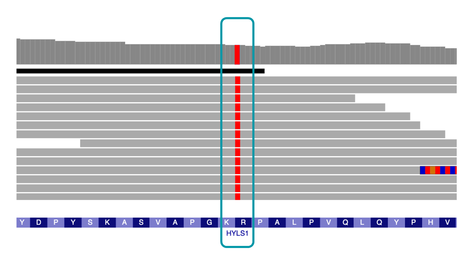 IGV view of HYLS1 variants
