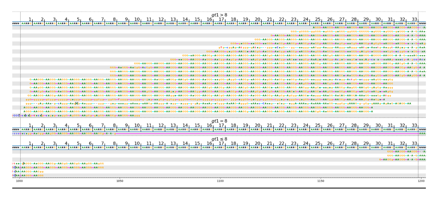 IGV view of RFC1 variants
