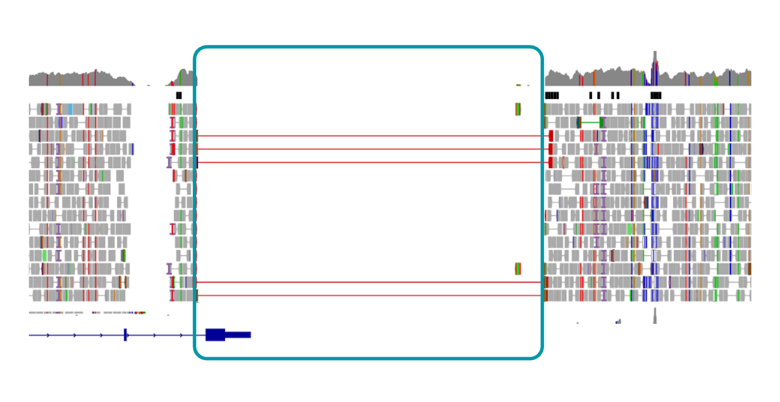 IGV view of DOK7 deletion