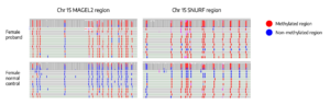Sequence level view of chromosome 15 methylation