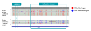 Methylated view of MAGEL2 reads