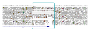 IGV view of GCH1 deletions