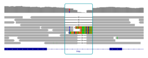 IGV view of TP53 intronic deletion